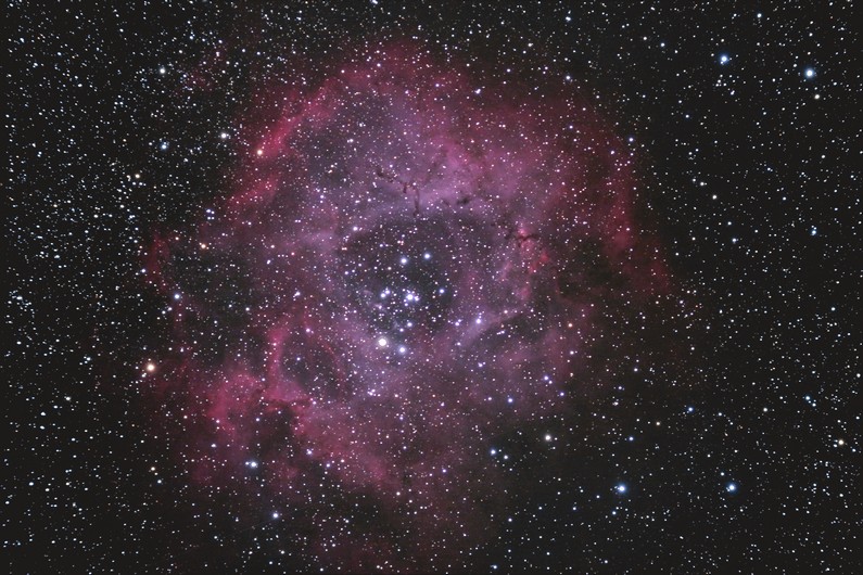 Rosette 50 mn 1600 iso copie